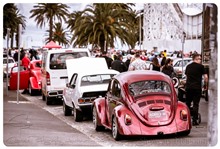 September 2016 Showcars Melbourne - Location: St Kilda