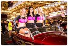 February 2017 Showcars Melbourne - Location: Moonee Valley Racecourse