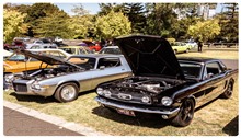 February 2019 Showcars Melbourne - Location: Moonee Valley Racecourse