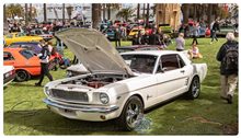 September 2019 Showcars Melbourne - Location: St Kilda