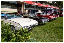 February 2022 Showcars Melbourne - Location: Moonee Valley Racecourse