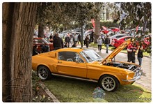 September 2022 Showcars Melbourne - Location: St Kilda