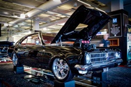 February 2023 Showcars Melbourne - Location: Moonee Valley Racecourse