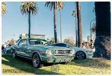 September 2023 Showcars Melbourne - Location: St Kilda