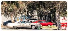 February 2025 Showcars Melbourne - Location: Shannons