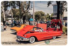February 2025 Showcars Melbourne - Location: Shannons