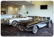 February 2025 Showcars Melbourne - Location: Moonee Valley Racecourse
