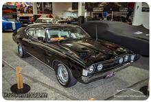 February 2025 Showcars Melbourne - Location: Moonee Valley Racecourse